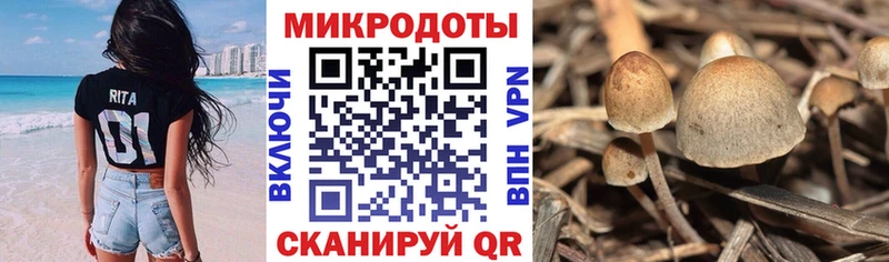 Псилоцибиновые грибы прущие грибы Фатеж